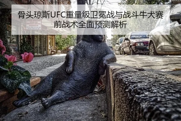 骨头琼斯UFC重量级卫冕战与战斗牛犬赛前战术全面预测解析